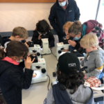 Azimut culture et science organise la Fête de la science
